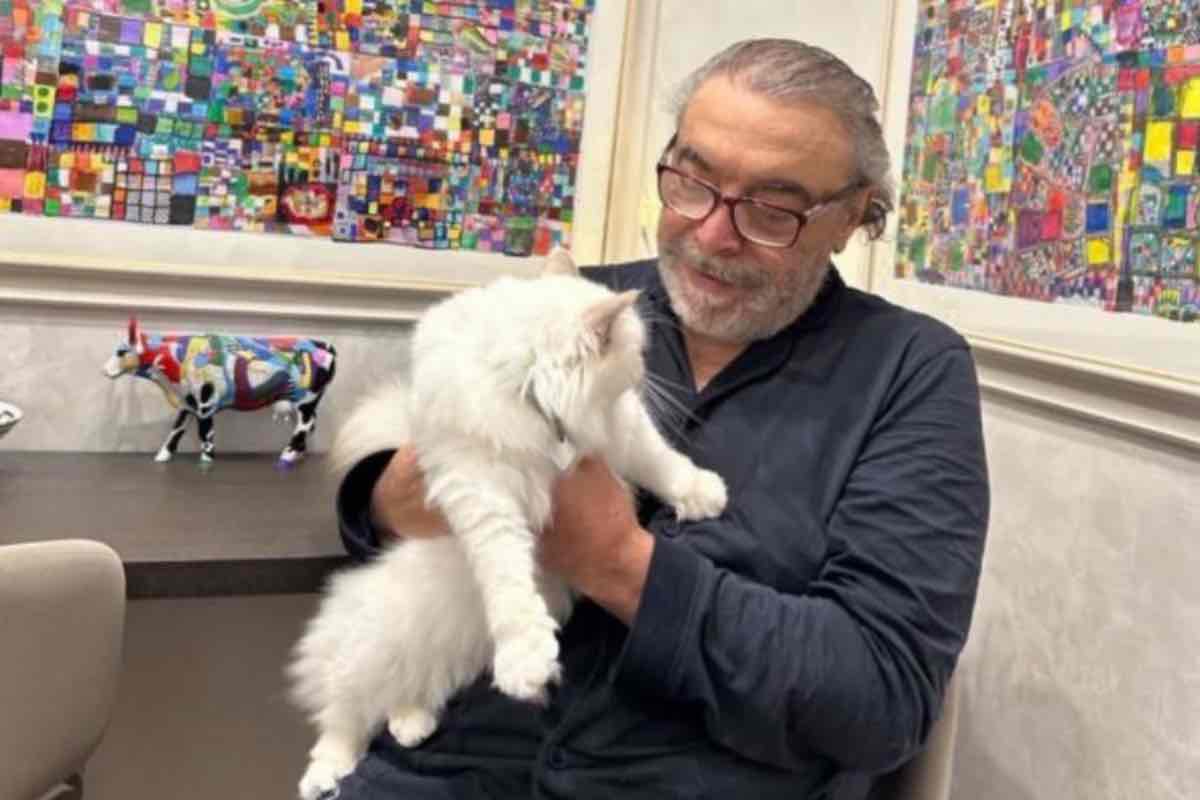 Nino Frassica perde il gatto Hiro ma viene denunciato, cosa sta succedendo all'attore